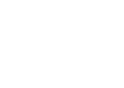 Plan d'escaliers galvanisé à Québec