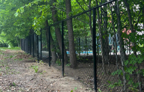 Clôture en maille de chaîne noire, cour arrière résidentielle, Sainte-Foy