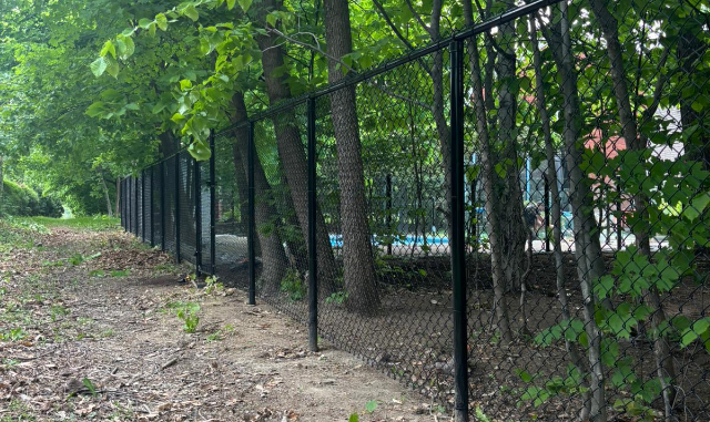 Clôture en maille de chaîne noire, cour arrière résidentielle, Sainte-Foy