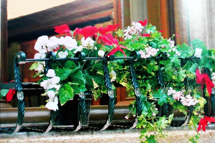 Cloture Provinciale - Boite a fleurs 10