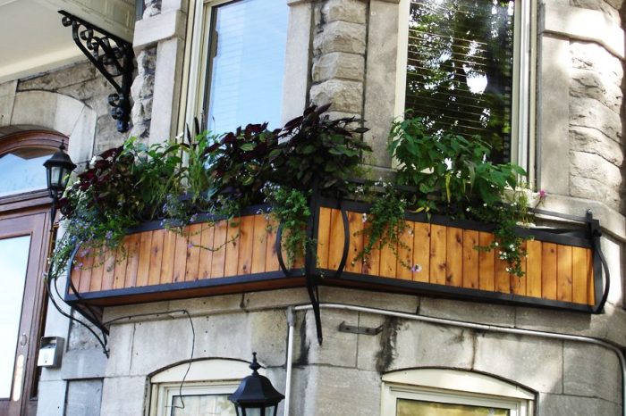 Cloture Provinciale - Boite a fleurs 5