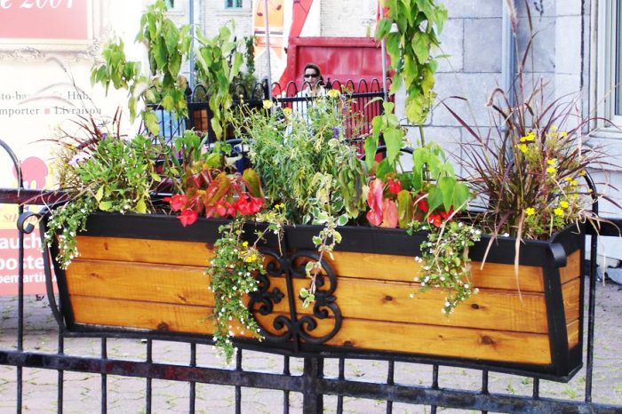 Cloture Provinciale - Éléments de jardins